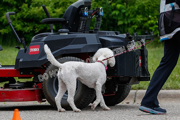 L3 Vehicle-7227