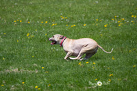 IMG_1257