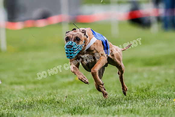 WRA, Prg 1, Race 6, Rip Press Babblez Tsunami Picanha Randy-8349
