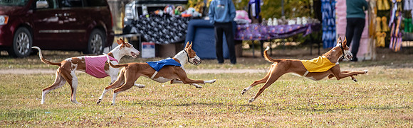Finals Fch 1 Penny Jadis Madyson-3130