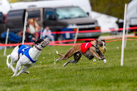 NOTRA Program 3, Race 1, Watson Scooter Barley Warrior-2-4