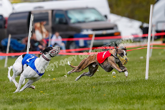 NOTRA Program 3, Race 1, Watson Scooter Barley Warrior-2-4