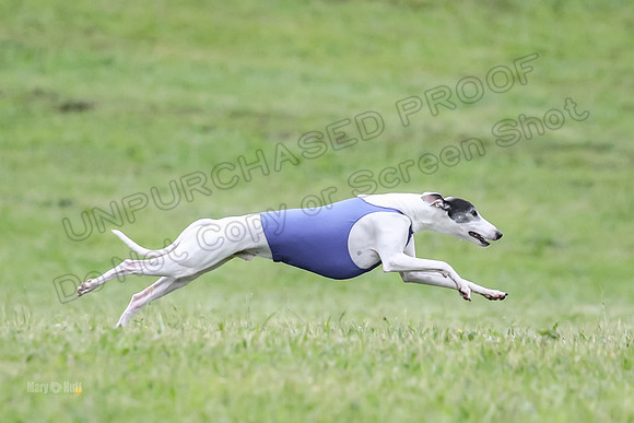 Prelim Open E2, Devo Wyatt Shadow-9080