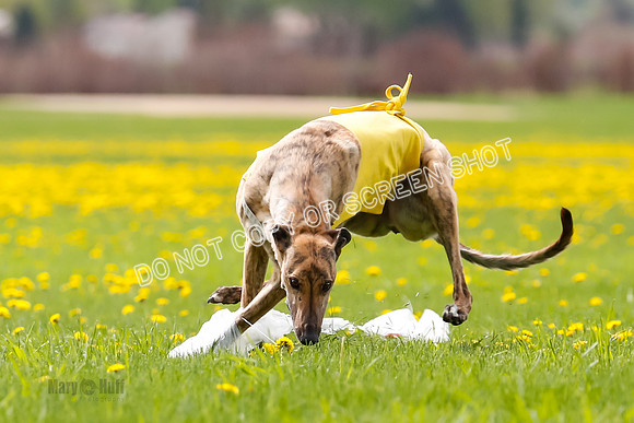 _E4I6115
