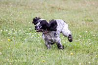 IMG_0659