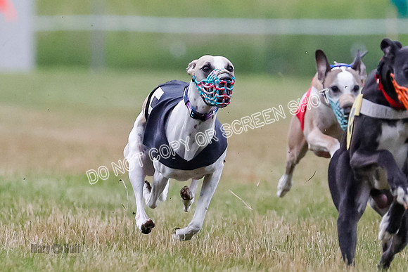 Prg 3, Race 4, Rowan-Jett-Blaze-Shimmy-Bogie-1130
