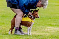 Finals Basenji-1325