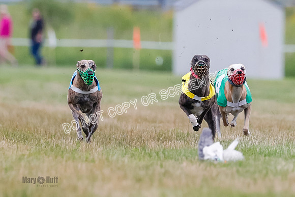 Prg 3, Race 5, Sid-Alex-Zed-Fama-Talim-1166