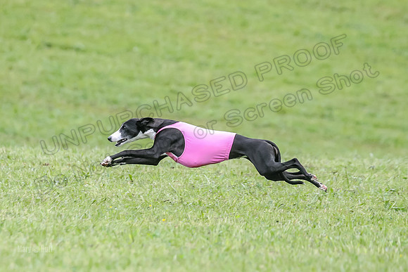 Prelim Open F5, Brinca Laila Storm-9387