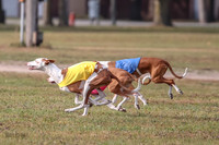 1 Prelims Fch 2 Jadis Beastie Ginny-0765
