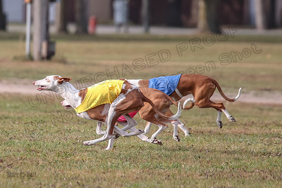 1 Prelims Fch 2 Jadis Beastie Ginny-0765
