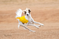 _E4I0081