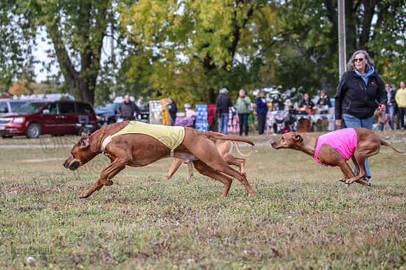 1 Prelims Fch 1 Ace Dakota Remmy-0258