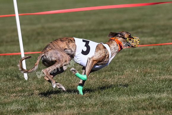 Prg 4, Race 3, Fortuna Rosie Mika Warrior-2556