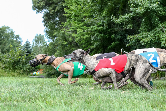 prg 1 race 4 lola Willow Finely Ullr Ready-3580