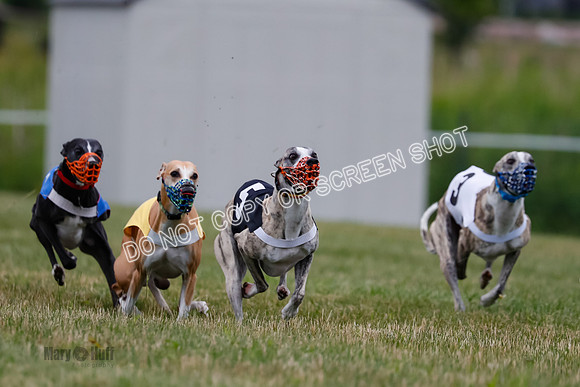 Prg 2, Race 4, Marty, Bogie, Denim, Meatloaf, Blaze, Raz-0998