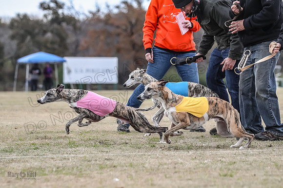 Finals Open 1 Steel Maverick Eggsy-3835