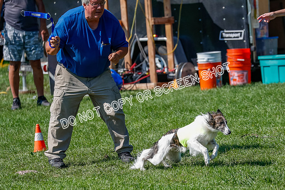 Silken Windhound Prelim, Finnegan-2951