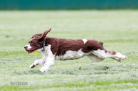 Cat Test 2-0963
