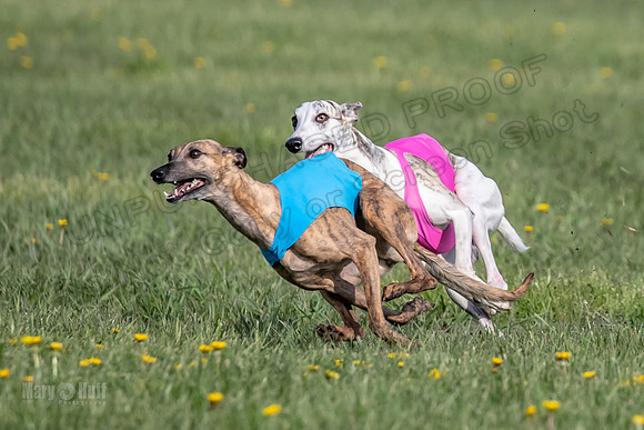 1Prelims Open E1 Boujee Riptide Zaza-0713