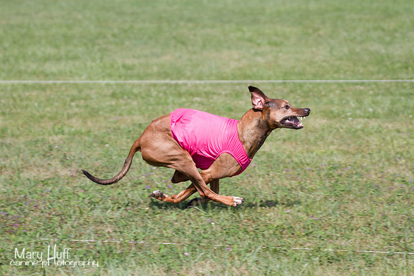 IMG_1877