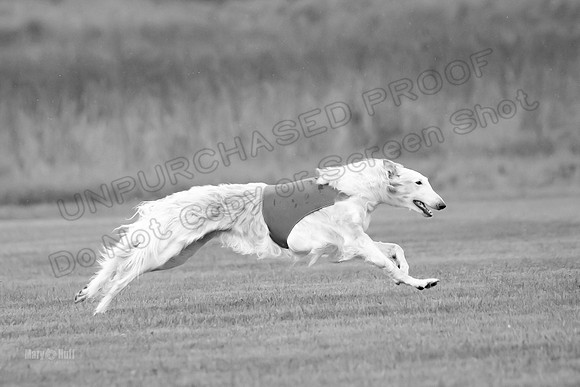 Open Prelim Bluegene Rhett Zen-0487-2