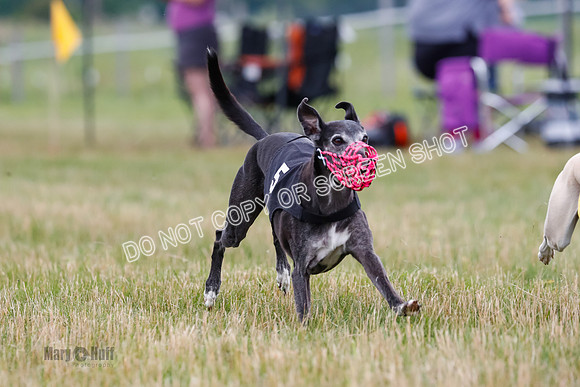 Prg 3, Race 2, Chuck-Tusi-Smokey-Raz-Angel-Nathalia-1062
