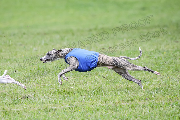 Prelim Open E1, Rip Mateo Maverick-9028