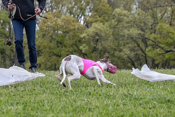 Finals Open D4, Roo Shroom Torque-0934