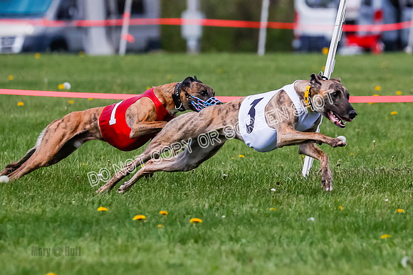 NOTRA Program 2, Race 8, Stoke Nami Nika Eddie-2-4