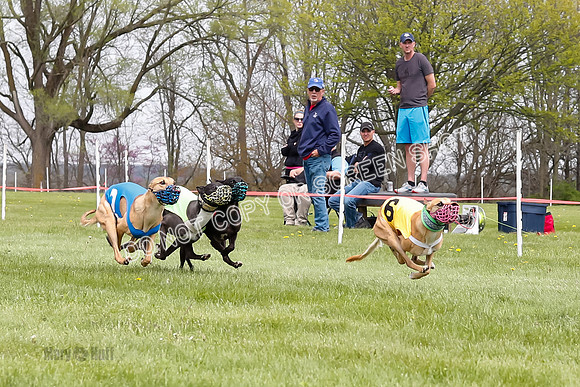 WRA, Prg 4, Race 4, Victor Picanha Stormy Terra Smudge-9333
