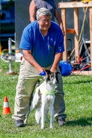 Silken Windhound Prelim, Finnegan-2938