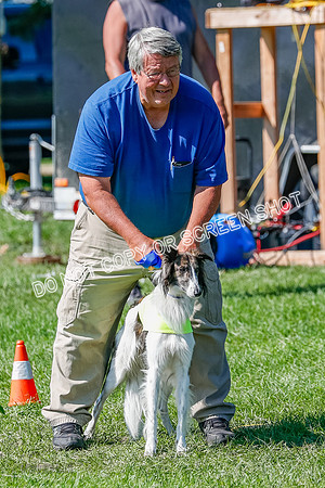 Silken Windhound Prelim, Finnegan-2938