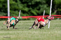 Pg 1, Race 5, Deal, Piper, Shea, Hornet