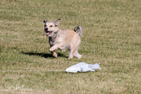 IMG_1568