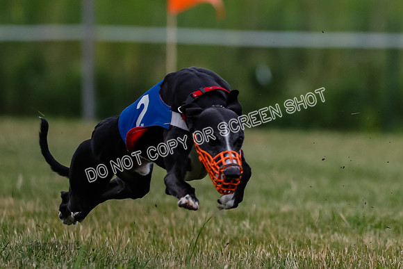 Prg 2, Race 4, Marty, Bogie, Denim, Meatloaf, Blaze, Raz-1005