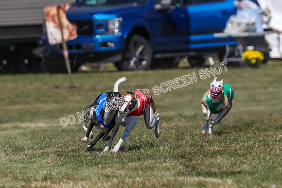 Prg 3, Race 9, Bibi Maybe Nami Rosie-2151