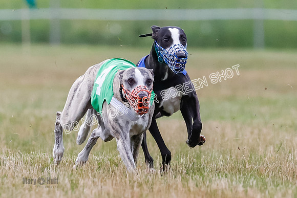Prg 3, Race 4, Rowan-Jett-Blaze-Shimmy-Bogie-1136