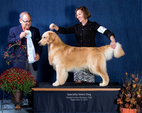Select Dog - Show 3, Sunday