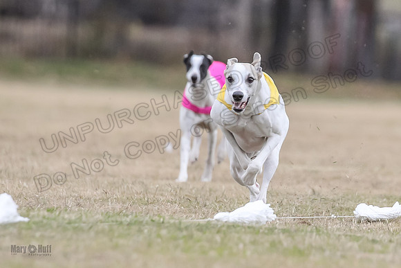 Finals Open 2 Cheese PeteySue Treble-3962