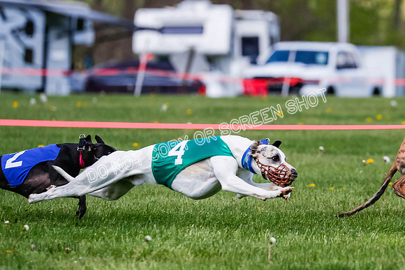NOTRA Program 2, Race 8, Stoke Nami Nika Eddie-2-7