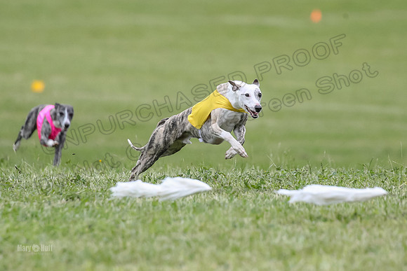Finals Open C4, Ripley Prim Synner-0752