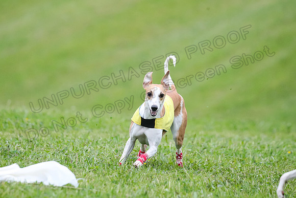Prelim Open E2, Riddle Finely Scarlet-4903