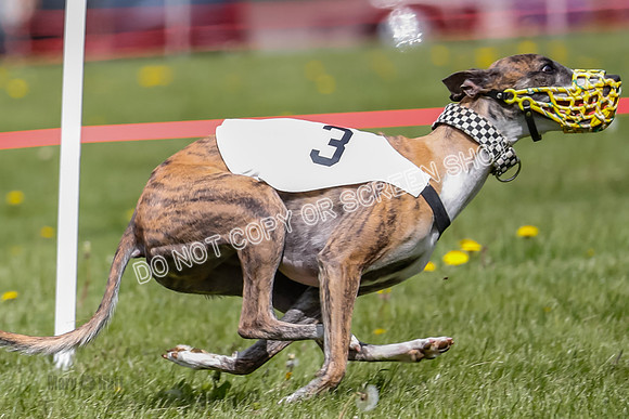 NOTRA Program 2, Race 3, Picanha Bibi Watson-2-5