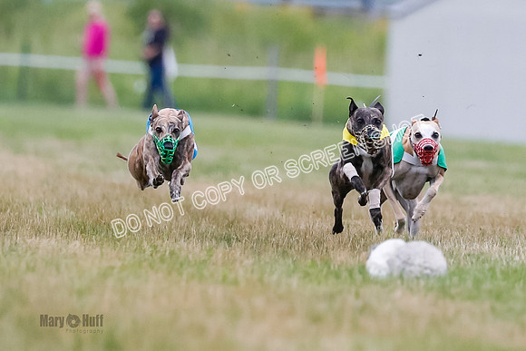 Prg 3, Race 5, Sid-Alex-Zed-Fama-Talim-1163