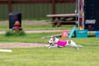 Prelims Jenny-0906
