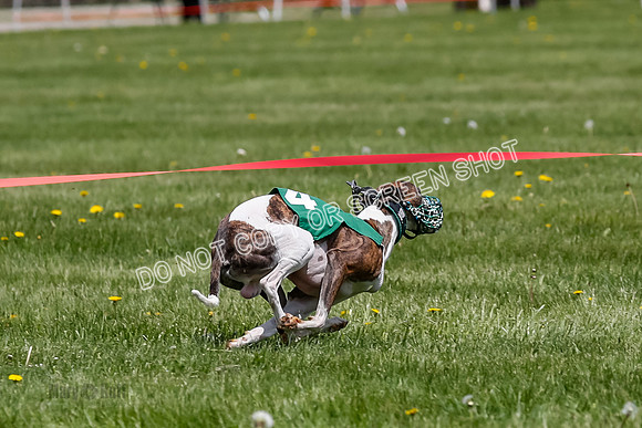 NOTRA Program 3, Race 4, Maybe Power Flora Clyps-2-12