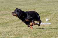 IMG_1680