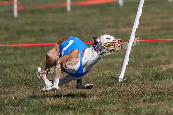 Prg 3, Race 6, Micky Sansa Power Arrow-2069-2