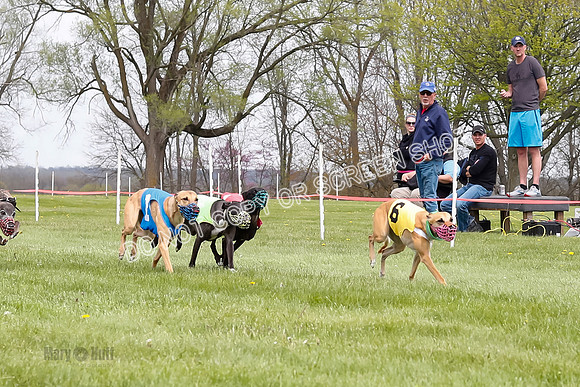 WRA, Prg 4, Race 4, Victor Picanha Stormy Terra Smudge-9332